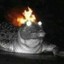 Burning Crocodile =]