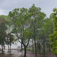 精神方面有问题