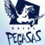 Baras-Pegasas