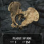 pelagius hip bone