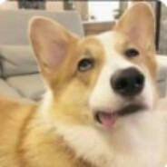 你豪哥的事少管