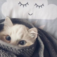 吵吵闹闹便一生