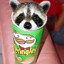 3 raccoons in a pringles can