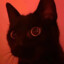mosca-