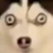 在你眼中我是谁