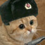 лапы в верх