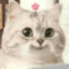Kawaiiii_Neko