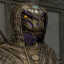 Nakuha the Argonian Paladin