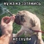 Avatar of player сикс севенский