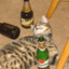 DuceDuck