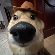 tabi avatar