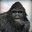 Sasquatch
