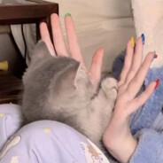 小张今天睡醒了