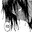 disgust