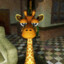 I Love Giraffes