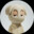 Hoonof