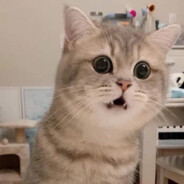 醉酒毒打老丈人