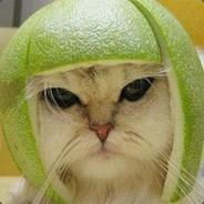 108940403