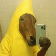 茶猫喜欢小鱼干