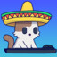 Sombrero Cat