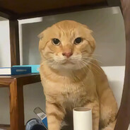 哈基米南北绿豆