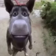 ю вери комарин - steam id 76561199053472287