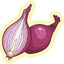 a Shallot