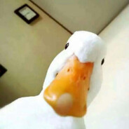 鹅就是鹅