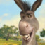 Donkey #5iveGG