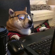 它说戴了不算给