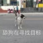 添苟