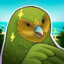 kakapo