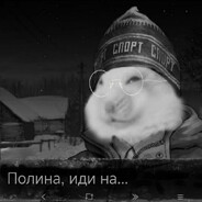 Жена Зеленского