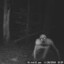 Trail Cam Jit