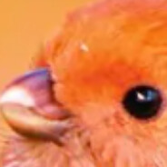 辅助斩杀兰陵王