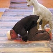 DUZY FIUT CIASNA CIPA