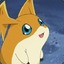 Patamon
