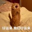 浮生如夢