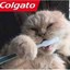 Colgato