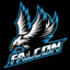 Mr.Falcons