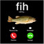 fih