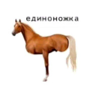 Вербовщик Кирилл