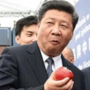 SB Xijinping