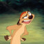 Timon