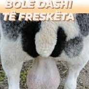 kukssi - steam id 76561199186665612