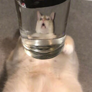 ￴￴ ￴￴ ￴ ￴￴