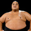 Yokozuna