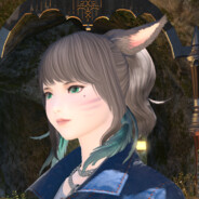 跳到桌子上的猫