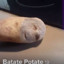 Batate potate
