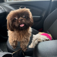 ❣₼ÖʟʟY₣ɨØÑʏ❣